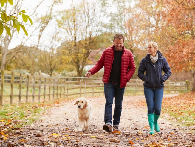 Снимка: istock