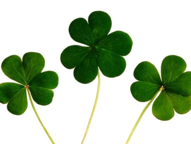 Снимка: pexels