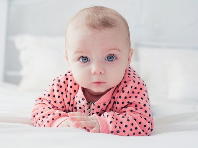 Снимка: istock