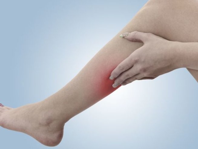 Снимка: iStock