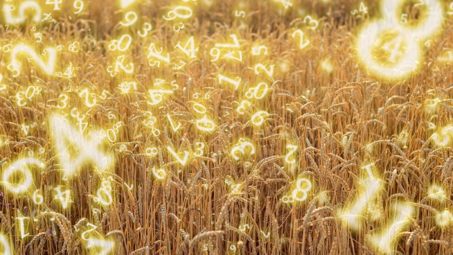 Нумерологична прогноза за 24 юли.Снимка: istock