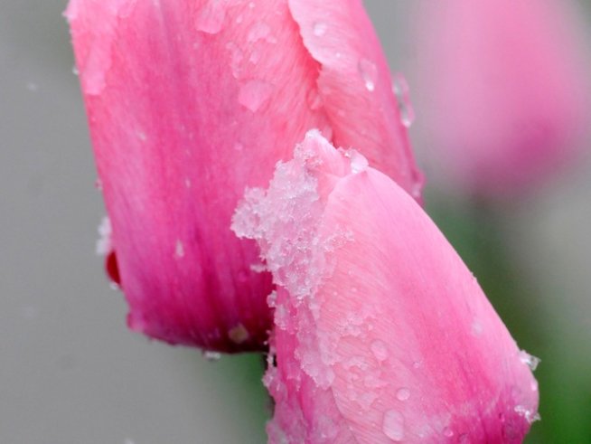 Снимка: Reuters