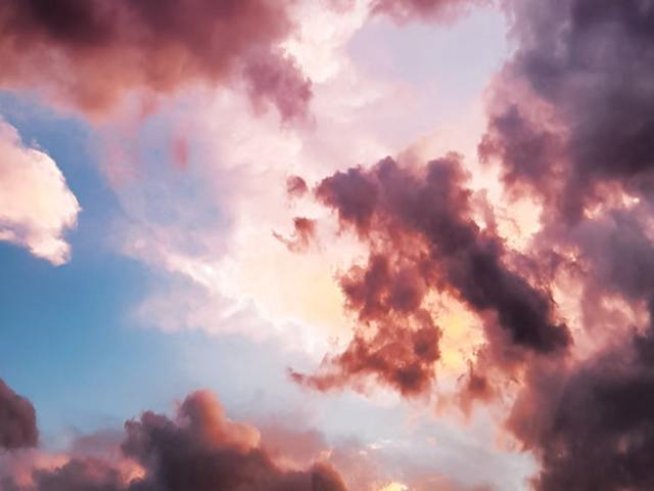 Снимка: pexels