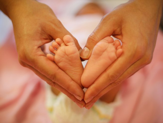 Снимка: freeimages.com