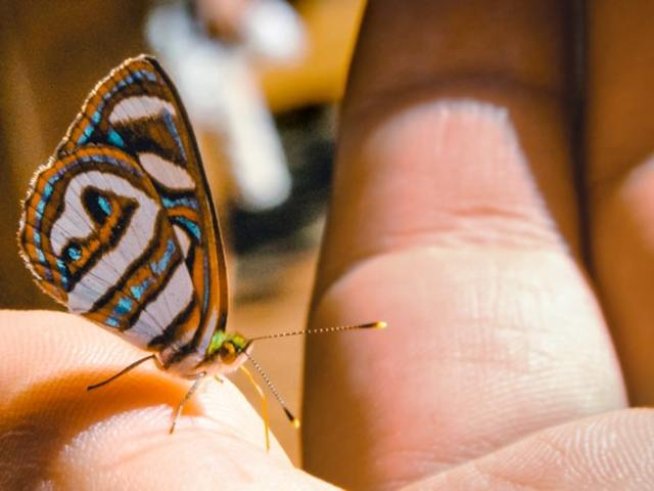 Снимка: pexels