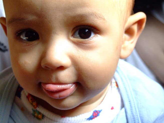 Снимка: Sxc.hu