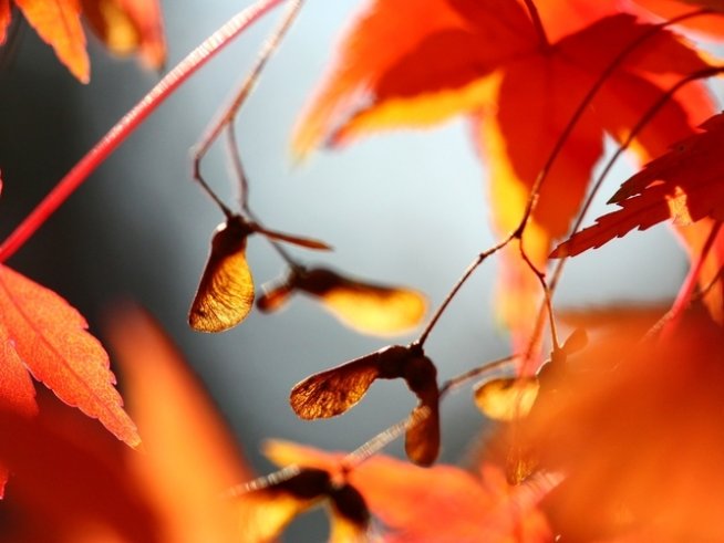 Снимка: Sxc.hu