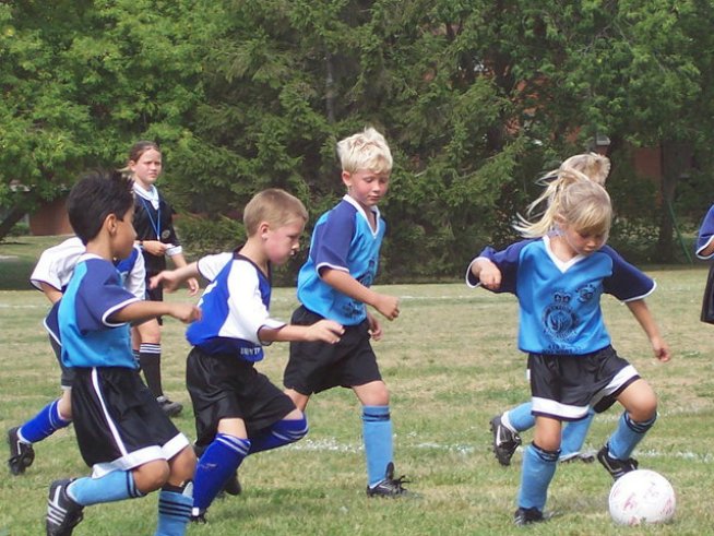 Снимка: Sxc.hu