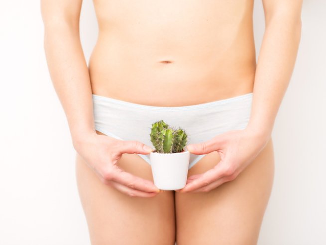 Снимка: istock