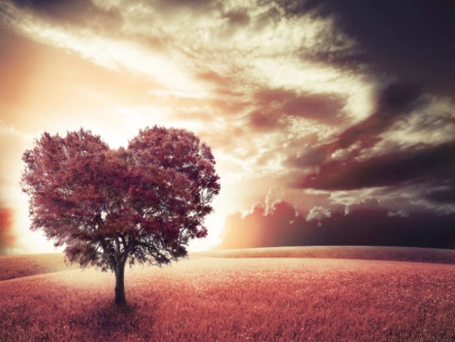 снимка: thinkstock