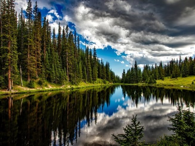 Снимка: pixabay