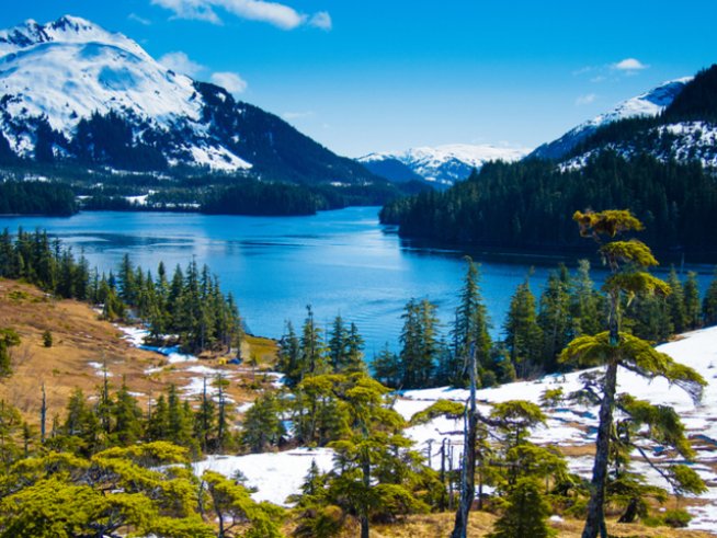 Снимка: istock