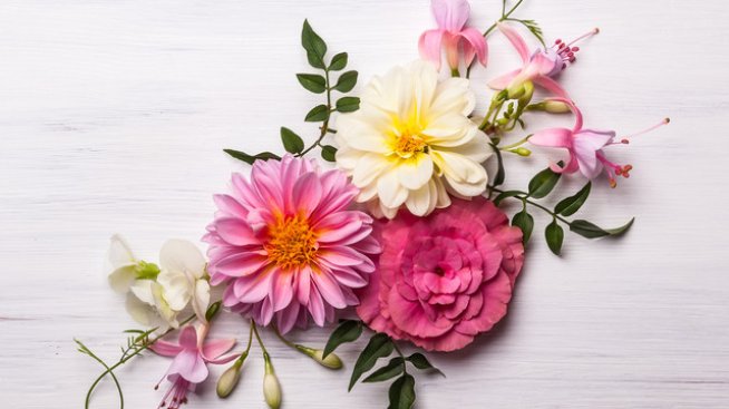 На 5 май празнуват Ирина, Ирена, Мирослава. Снимка: istock