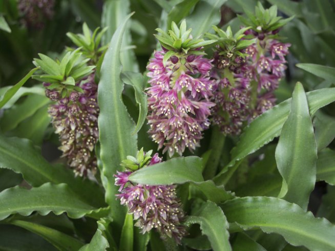 Снимка: Thinkstock