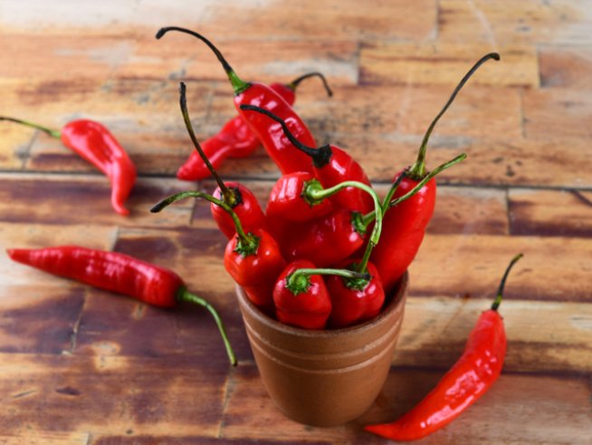 Снимка: istock