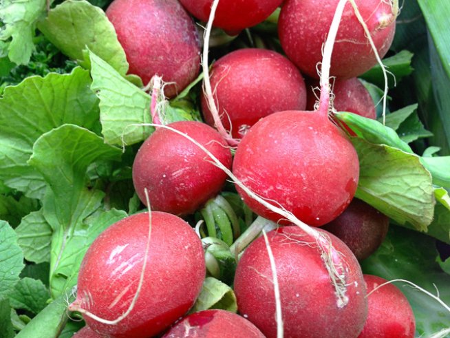 Снимка: Sxc.hu