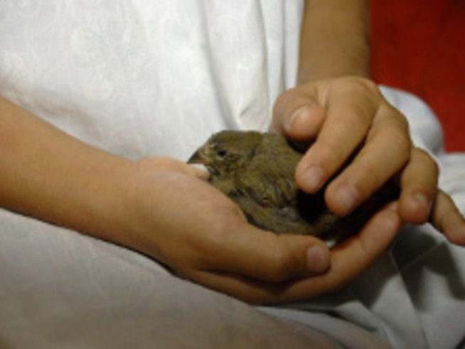 Нека всеки потърси доброто у себе си+