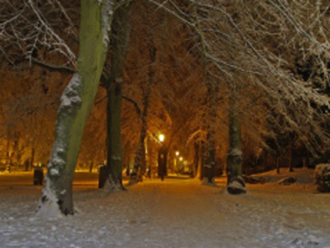 8 дни до Коледа – разтоварващ ден