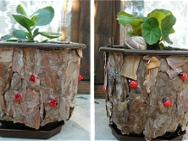 Декорация на саксии