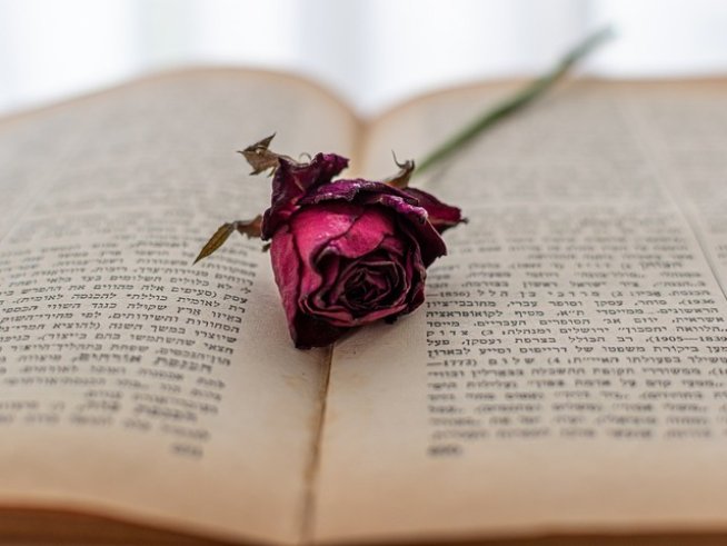 Снимка: pixabay