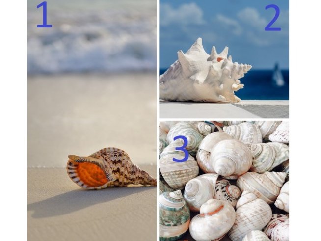 Снимки: Unsplash