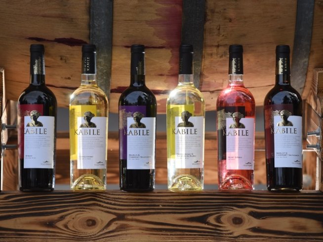 Снимка: Вила Ямбол.