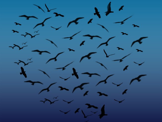 Снимка: Sxc.hu