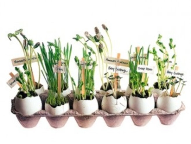 Снимка: marthastewart.com