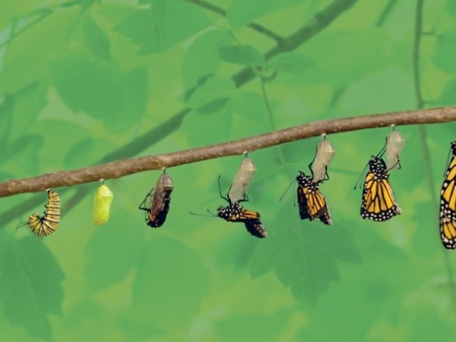 Самопомощ при травма от психическо насилие