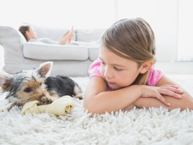 Снимка: Thinkstock