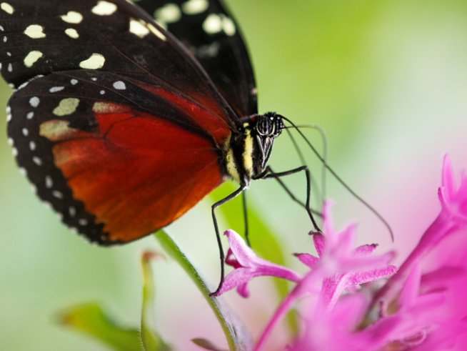 Снимка: Sxc.hu