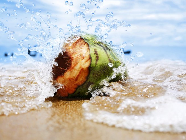 Снимка: Sxc.hu