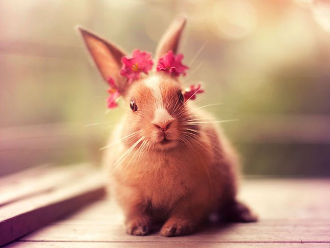 Снимка: boredpanda