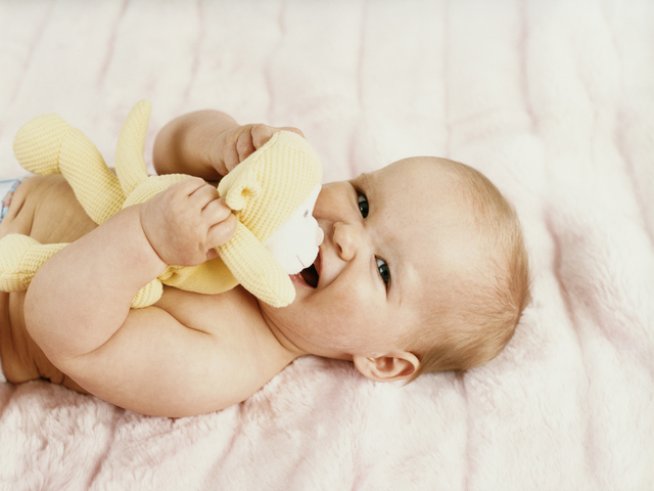 Снимка: thinkstock