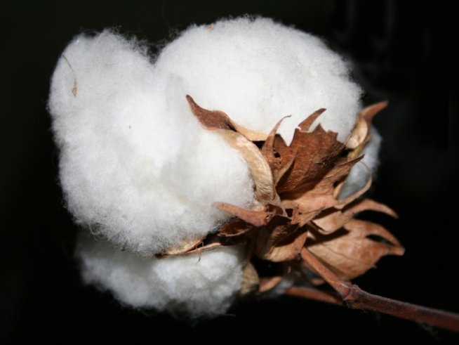 Снимка: Sxc.hu