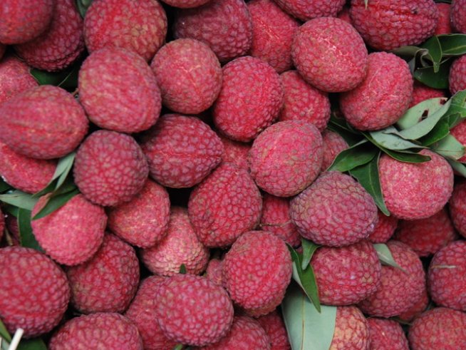 Снимка: Sxc.hu