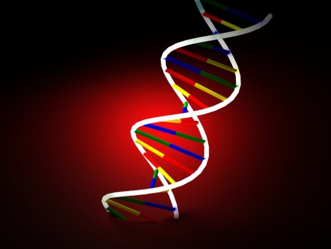 Снимка: Sxc.hu