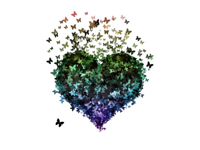 Снимка: Sxc.hu