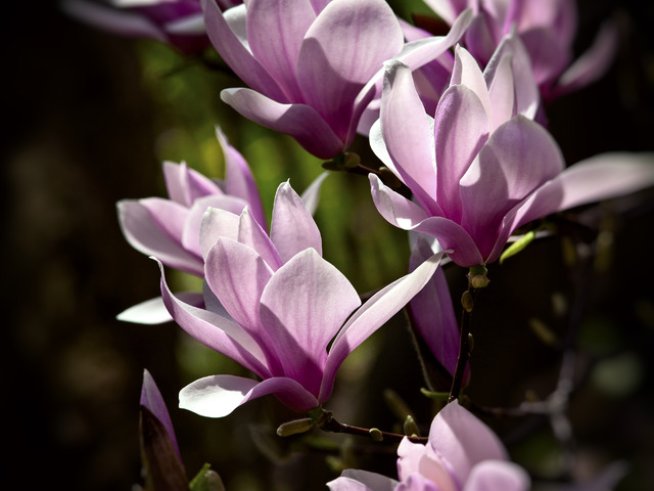 Снимка: Sxc.hu