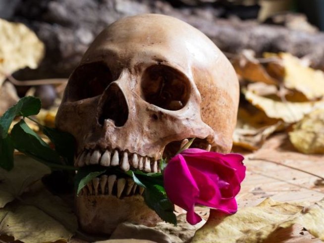 Снимка: iStock