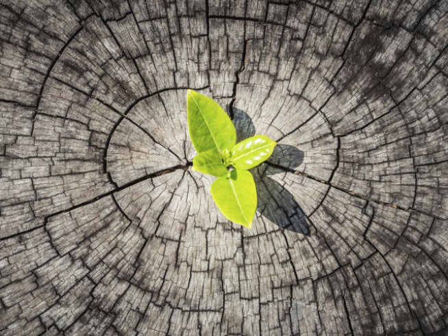 Снимка: thinkstock