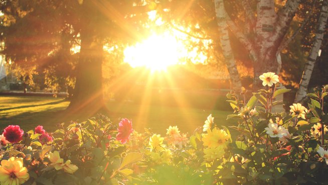 На този ден не се пие червено вино. Снимка: istock