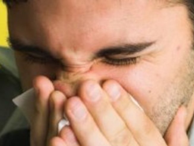 Днешните алергии – проблем за цяла Европа