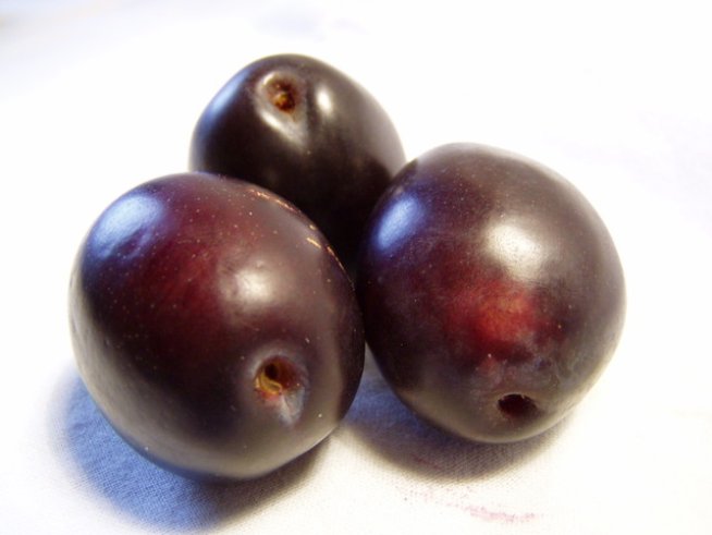 Снимка: Sxc.hu