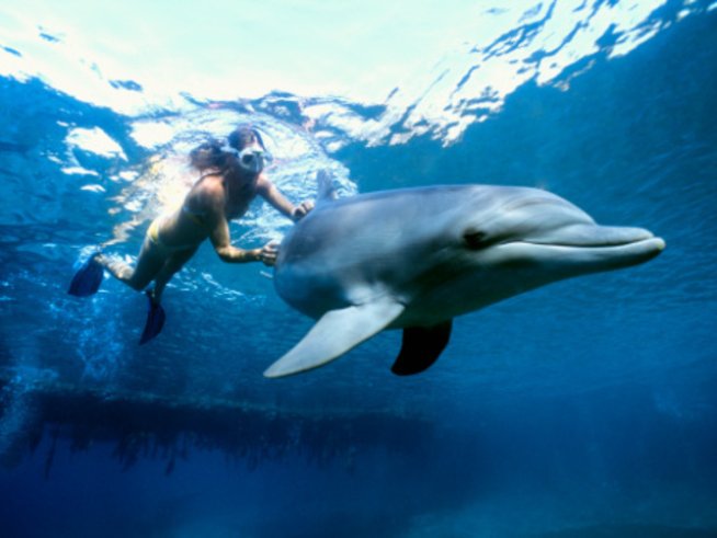 Снимка: Getty Images