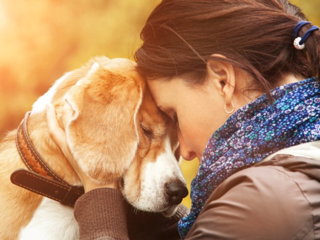 Снимка: istock