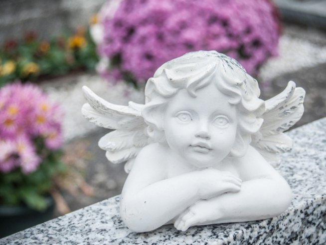 Снимка: Istock