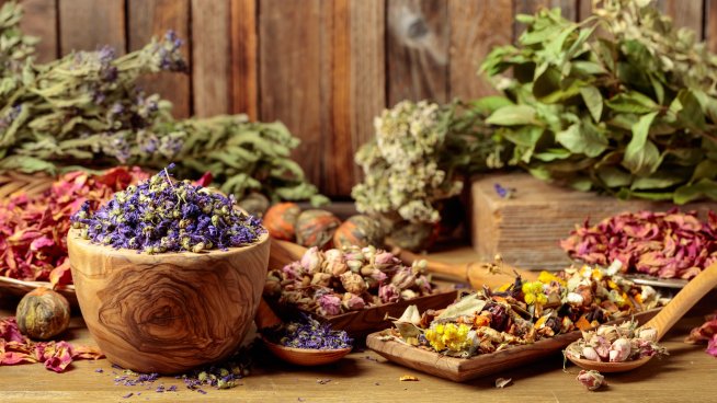 Снимка: iStock