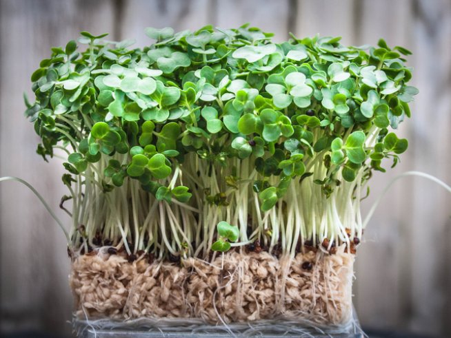 Снимка: istock