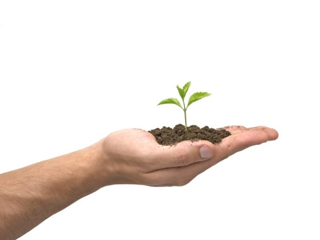 Снимка: Sxc.hu